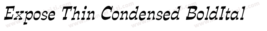 Expose Thin Condensed BoldItalic字体转换